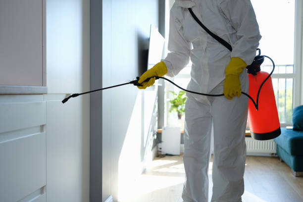 Best Mold Remediation for Schools in Cheshire Village, CT